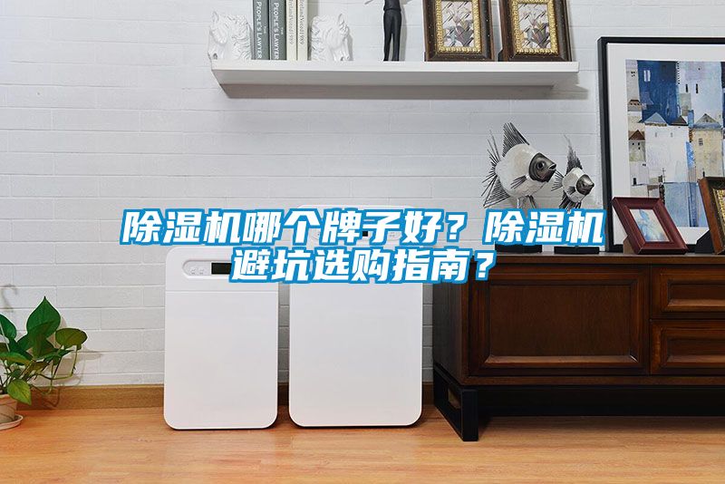 除濕機(jī)哪個(gè)牌子好？除濕機(jī)避坑選購(gòu)指南？