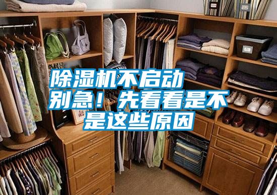 除濕機不啟動   別急！先看看是不是這些原因
