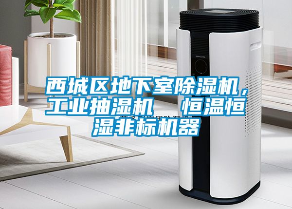 西城區(qū)地下室除濕機(jī)，工業(yè)抽濕機(jī)  恒溫恒濕非標(biāo)機(jī)器