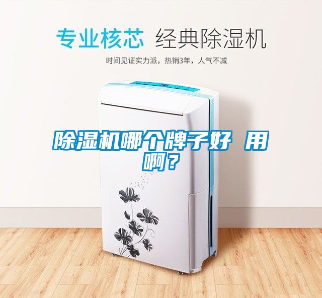 除濕機(jī)哪個(gè)牌子好 用啊？