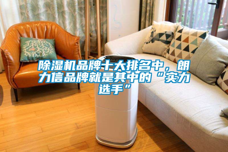 除濕機品牌十大排名中，朗力信品牌就是其中的“實力選手”