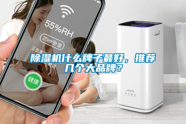 除濕機什么牌子最好，推薦幾個大品牌？