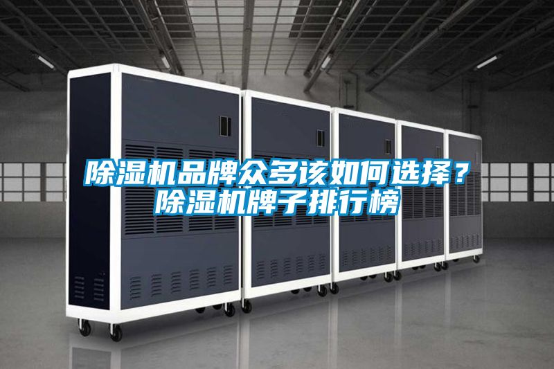 除濕機(jī)品牌眾多該如何選擇？除濕機(jī)牌子排行榜