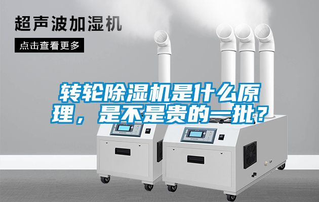 轉(zhuǎn)輪除濕機是什么原理，是不是貴的一批？