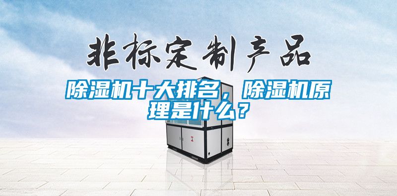 除濕機(jī)十大排名，除濕機(jī)原理是什么？