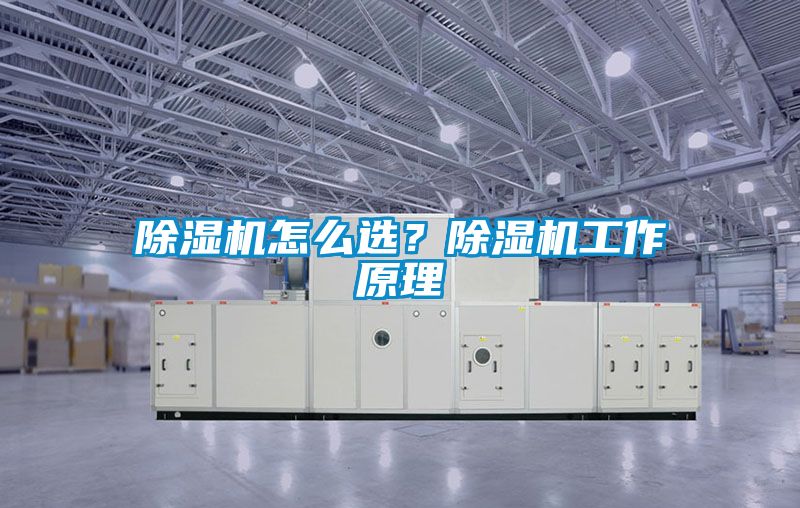 除濕機怎么選？除濕機工作原理