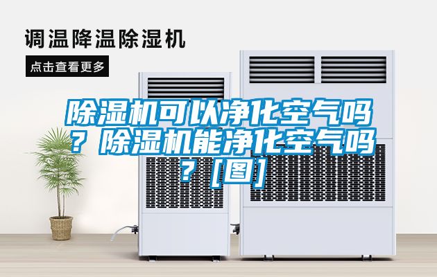 除濕機可以凈化空氣嗎？除濕機能凈化空氣嗎？[圖]
