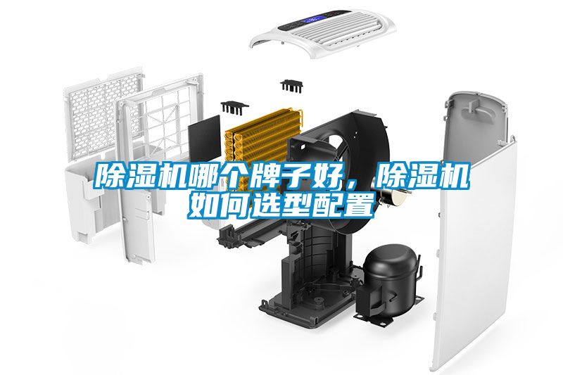 除濕機(jī)哪個(gè)牌子好，除濕機(jī)如何選型配置