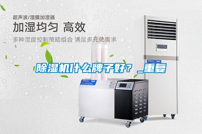 除濕機(jī)什么牌子好？_重復(fù)
