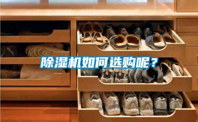 除濕機(jī)如何選購(gòu)呢？