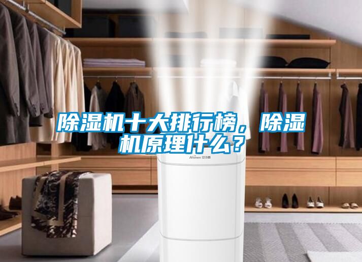 除濕機(jī)十大排行榜，除濕機(jī)原理什么？