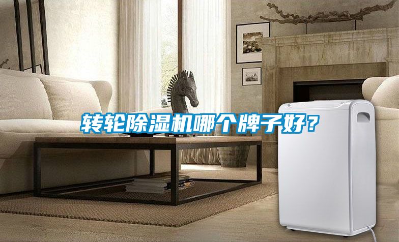 轉(zhuǎn)輪除濕機(jī)哪個(gè)牌子好？