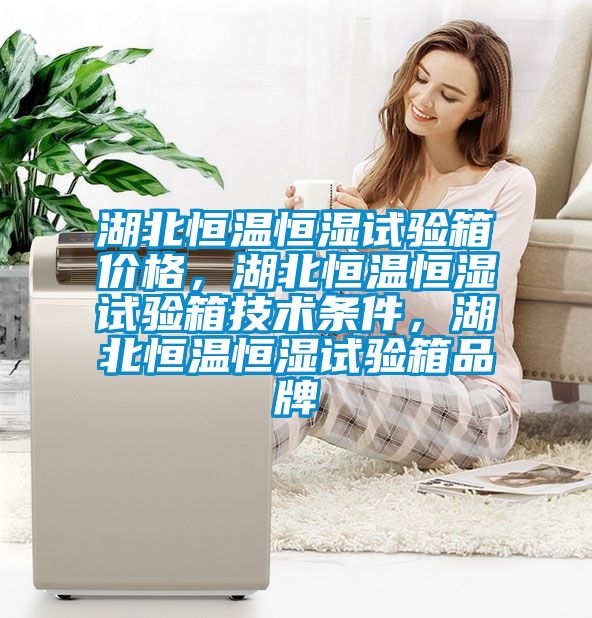 湖北恒溫恒濕試驗箱價格，湖北恒溫恒濕試驗箱技術(shù)條件，湖北恒溫恒濕試驗箱品牌