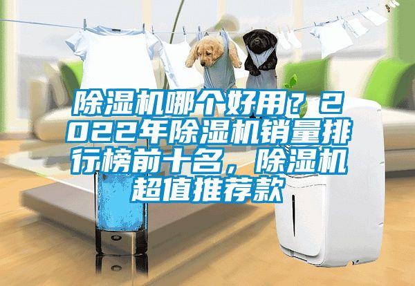除濕機哪個好用？2022年除濕機銷量排行榜前十名，除濕機超值推薦款