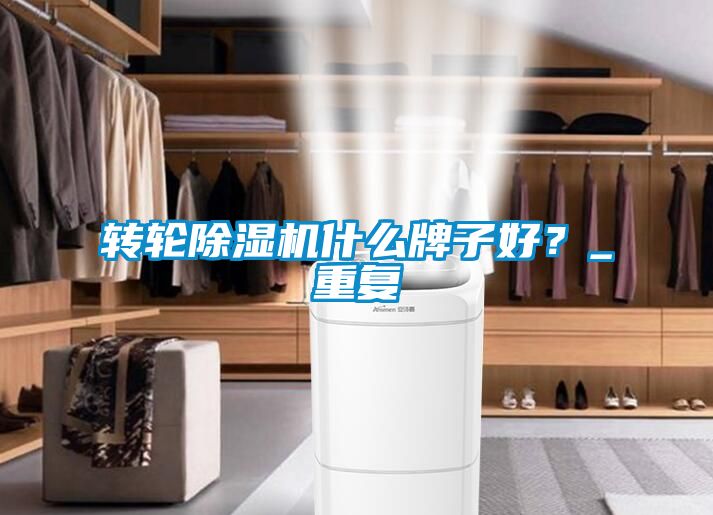 轉(zhuǎn)輪除濕機(jī)什么牌子好？_重復(fù)