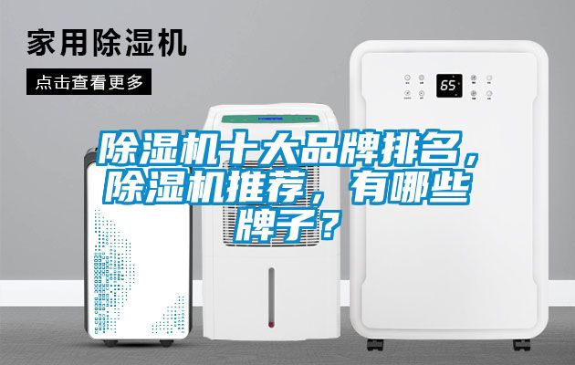 除濕機十大品牌排名，除濕機推薦，有哪些牌子？
