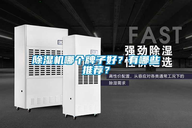 除濕機(jī)哪個牌子好？有哪些推薦？