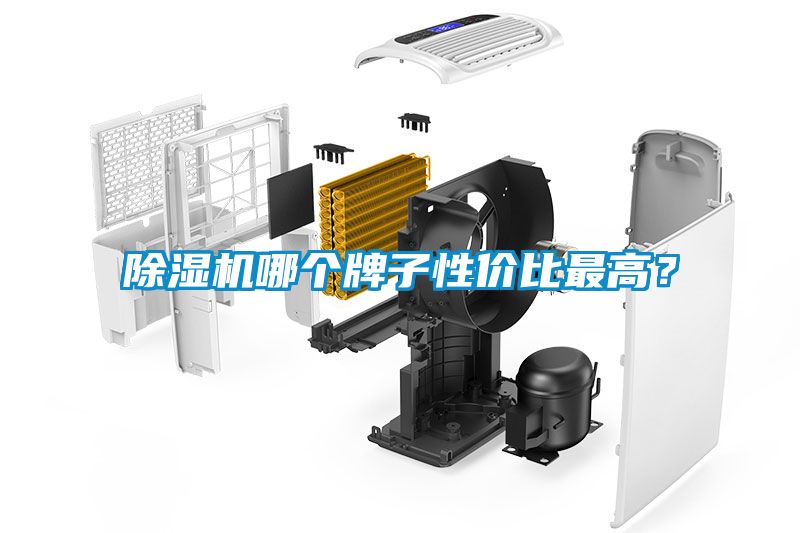 除濕機哪個牌子性價比最高？
