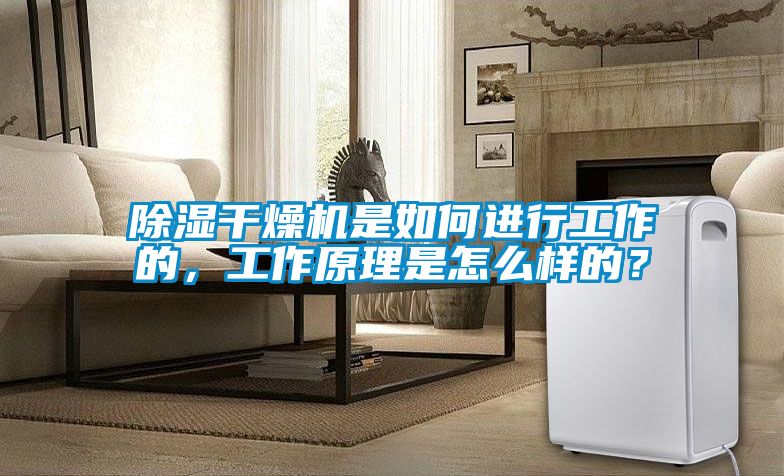除濕干燥機是如何進行工作的，工作原理是怎么樣的？
