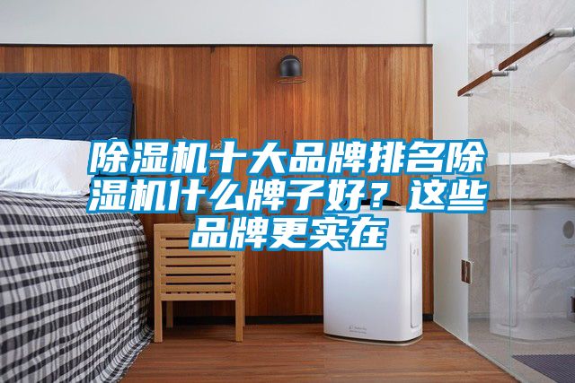 除濕機(jī)十大品牌排名除濕機(jī)什么牌子好？這些品牌更實(shí)在