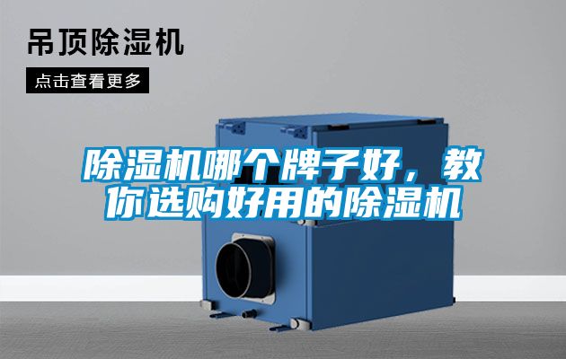 除濕機(jī)哪個牌子好，教你選購好用的除濕機(jī)