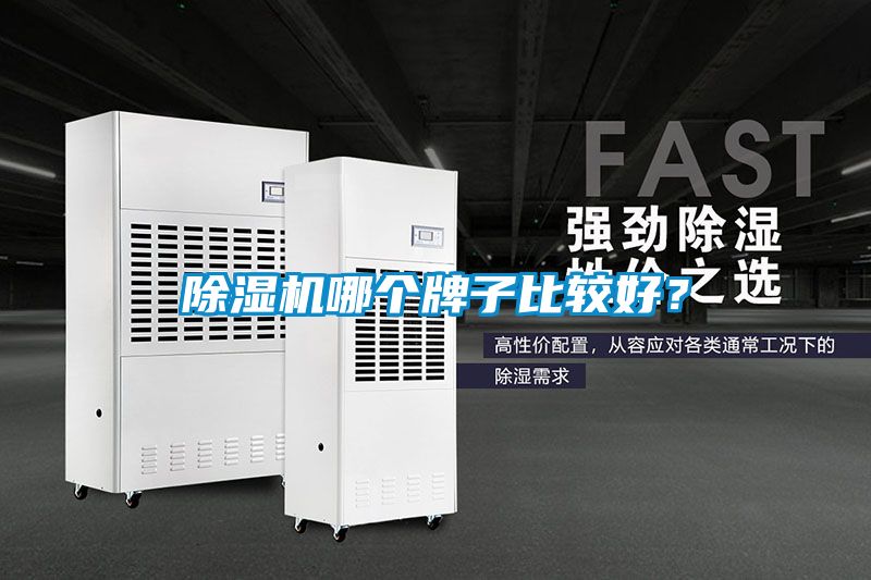 除濕機(jī)哪個(gè)牌子比較好？