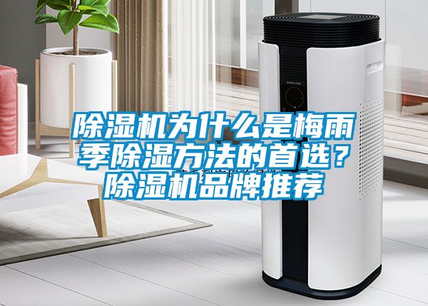 除濕機(jī)為什么是梅雨季除濕方法的首選？除濕機(jī)品牌推薦