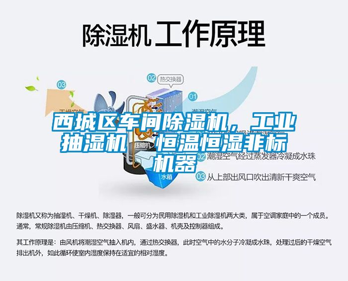 西城區(qū)車間除濕機(jī)，工業(yè)抽濕機(jī)  恒溫恒濕非標(biāo)機(jī)器
