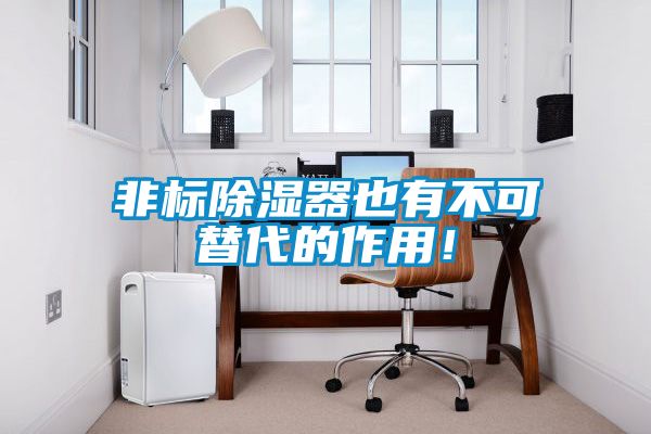 非標(biāo)除濕器也有不可替代的作用！