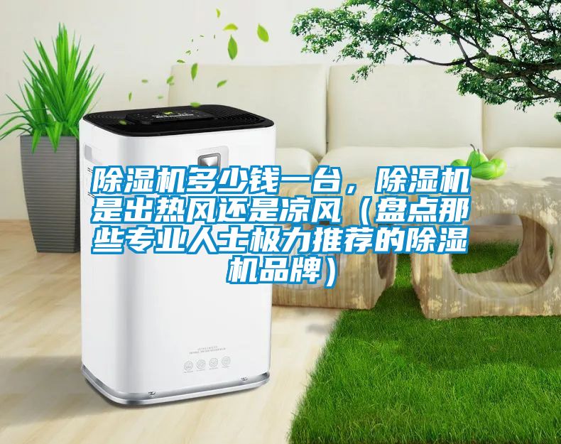 除濕機(jī)多少錢一臺，除濕機(jī)是出熱風(fēng)還是涼風(fēng)（盤點(diǎn)那些專業(yè)人士極力推薦的除濕機(jī)品牌）