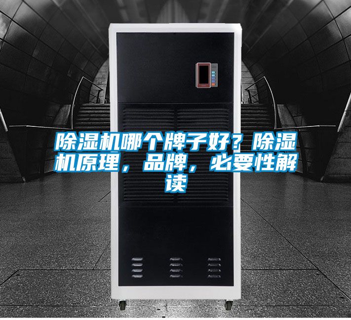 除濕機哪個牌子好？除濕機原理，品牌，必要性解讀