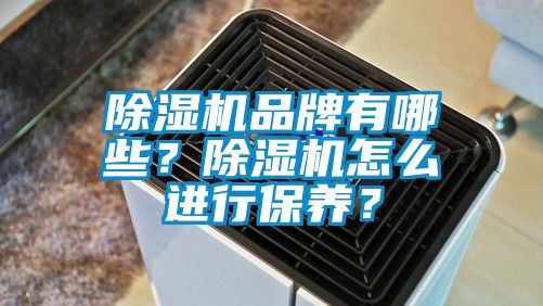 除濕機品牌有哪些？除濕機怎么進行保養(yǎng)？