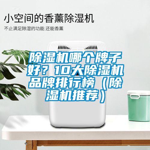 除濕機哪個牌子好？10大除濕機品牌排行榜（除濕機推薦）