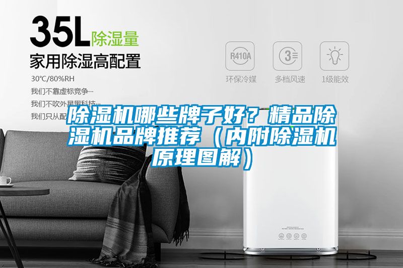 除濕機哪些牌子好？精品除濕機品牌推薦（內(nèi)附除濕機原理圖解）