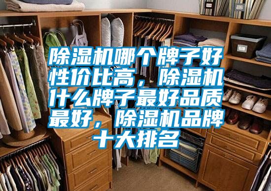 除濕機(jī)哪個(gè)牌子好性價(jià)比高，除濕機(jī)什么牌子最好品質(zhì)最好，除濕機(jī)品牌十大排名