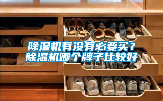 除濕機(jī)有沒有必要買？除濕機(jī)哪個牌子比較好
