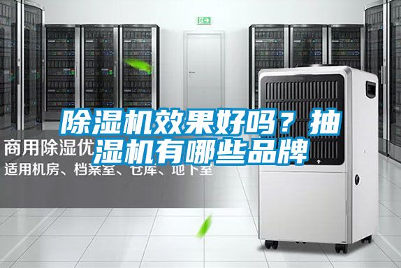 除濕機(jī)效果好嗎？抽濕機(jī)有哪些品牌
