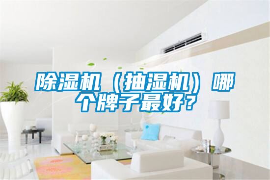 除濕機(jī)（抽濕機(jī)）哪個(gè)牌子最好？