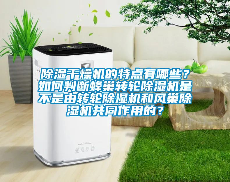 除濕干燥機(jī)的特點(diǎn)有哪些？如何判斷蜂巢轉(zhuǎn)輪除濕機(jī)是不是由轉(zhuǎn)輪除濕機(jī)和風(fēng)巢除濕機(jī)共同作用的？