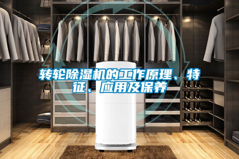 轉(zhuǎn)輪除濕機的工作原理、特征、應用及保養(yǎng)