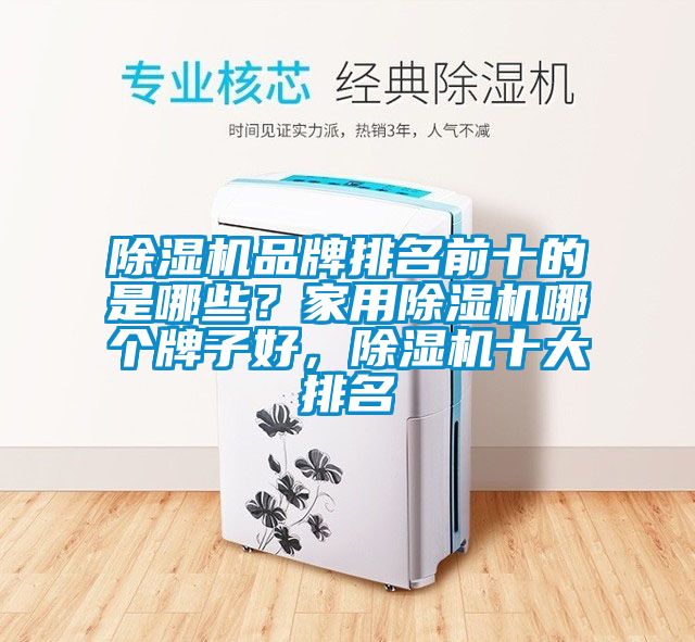 除濕機品牌排名前十的是哪些？家用除濕機哪個牌子好，除濕機十大排名