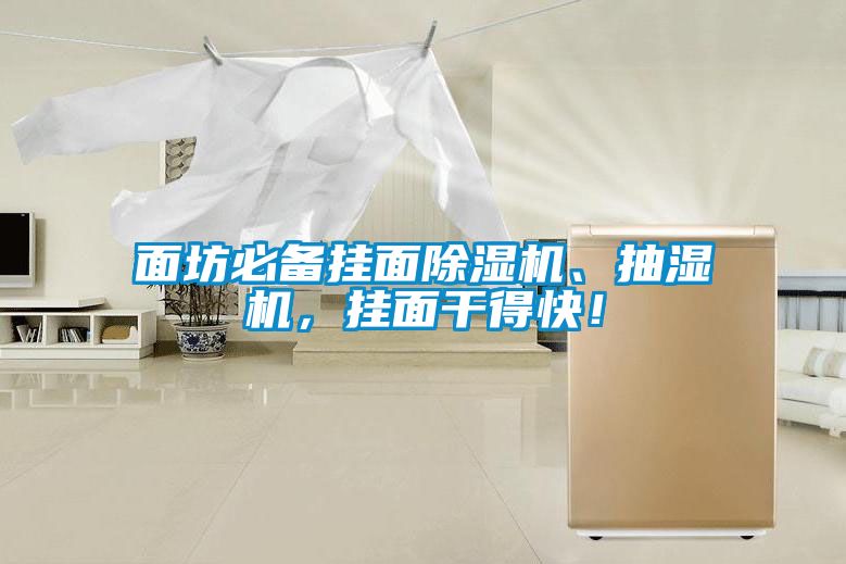 面坊必備掛面除濕機(jī)、抽濕機(jī)，掛面干得快！