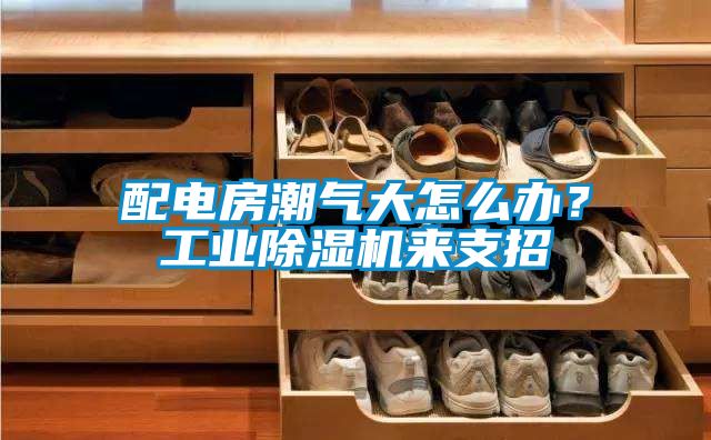 配電房潮氣大怎么辦？工業(yè)除濕機(jī)來支招