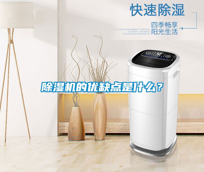 除濕機(jī)的優(yōu)缺點是什么？