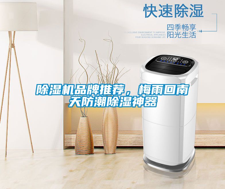 除濕機(jī)品牌推薦，梅雨回南天防潮除濕神器