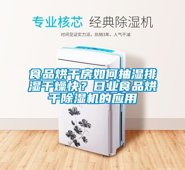 食品烘干房如何抽濕排濕干燥快？日業(yè)食品烘干除濕機的應(yīng)用