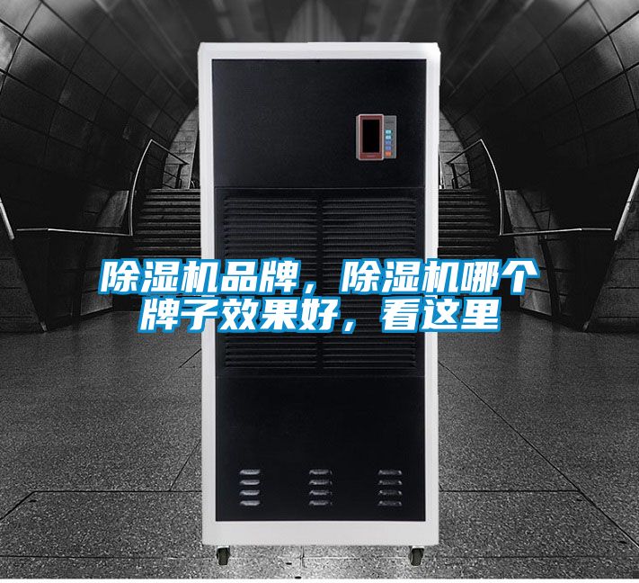 除濕機(jī)品牌，除濕機(jī)哪個(gè)牌子效果好，看這里