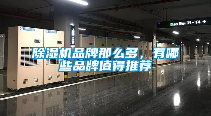 除濕機品牌那么多，有哪些品牌值得推薦