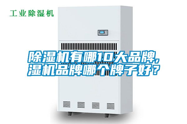 除濕機(jī)有哪10大品牌,濕機(jī)品牌哪個(gè)牌子好？