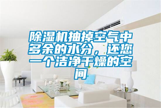 除濕機抽掉空氣中多余的水分，還您一個潔凈干燥的空間